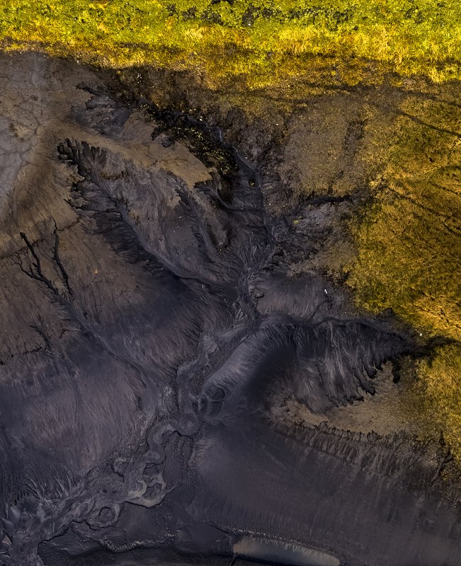 Art of nature фото превью