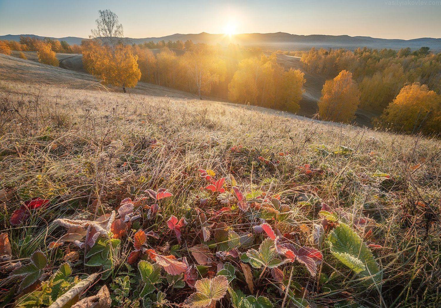 яковлевфототур, фототур, василийяковлев, Василий Яковлев