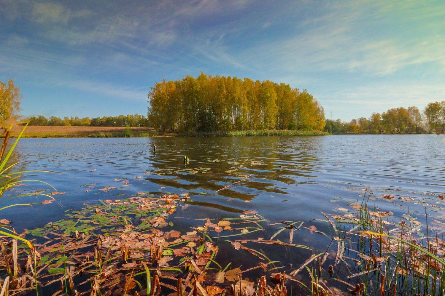 , Галина Горькавая