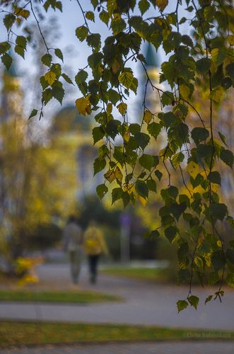 Осень в городе