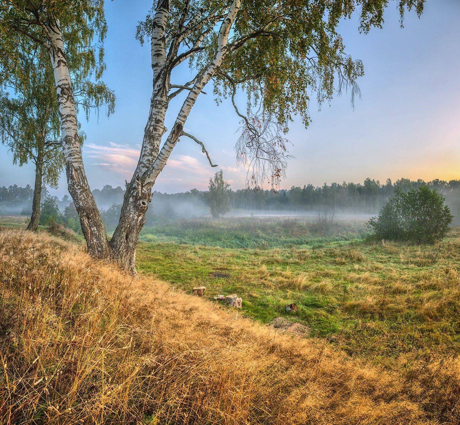 , Николай Андреев