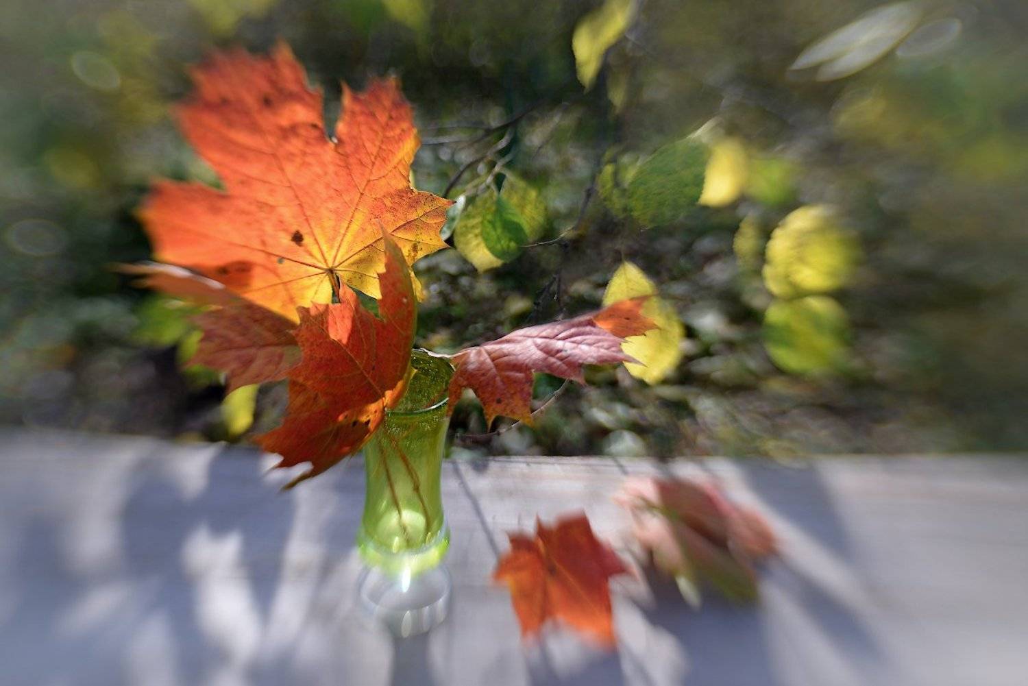 , Марина Никифорова