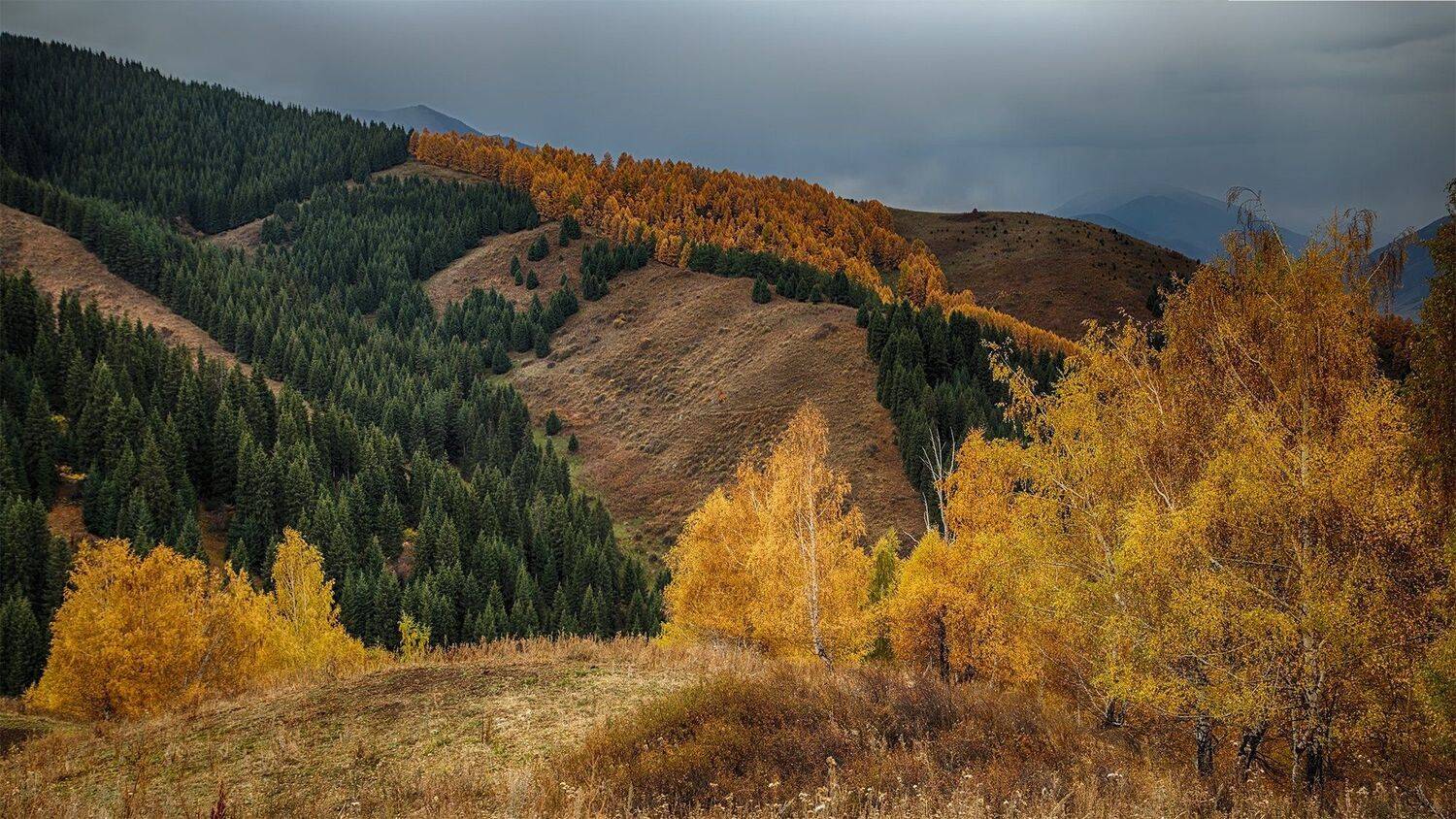 кыргызстан, горы, Элина Магалимова