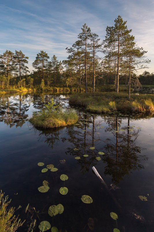 ленинградская область, ленобласть Вечернее солнце фото превью