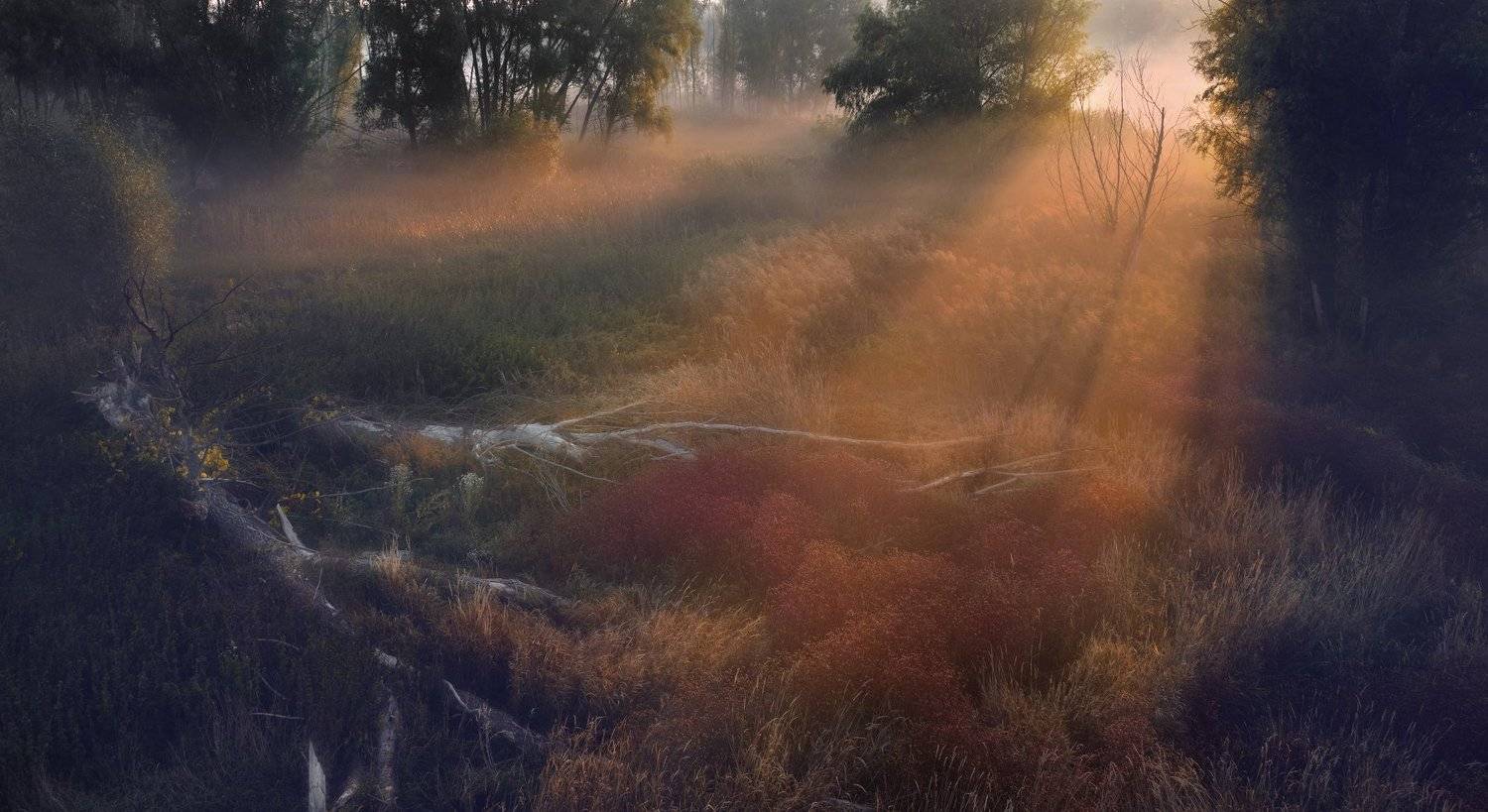 , Михайло Павленко