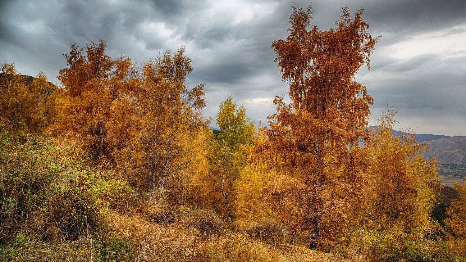 кыргызстан, горы, Элина Магалимова