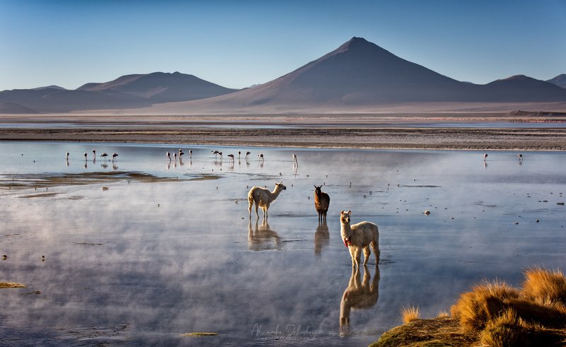 боливия Горячие ключи фото превью