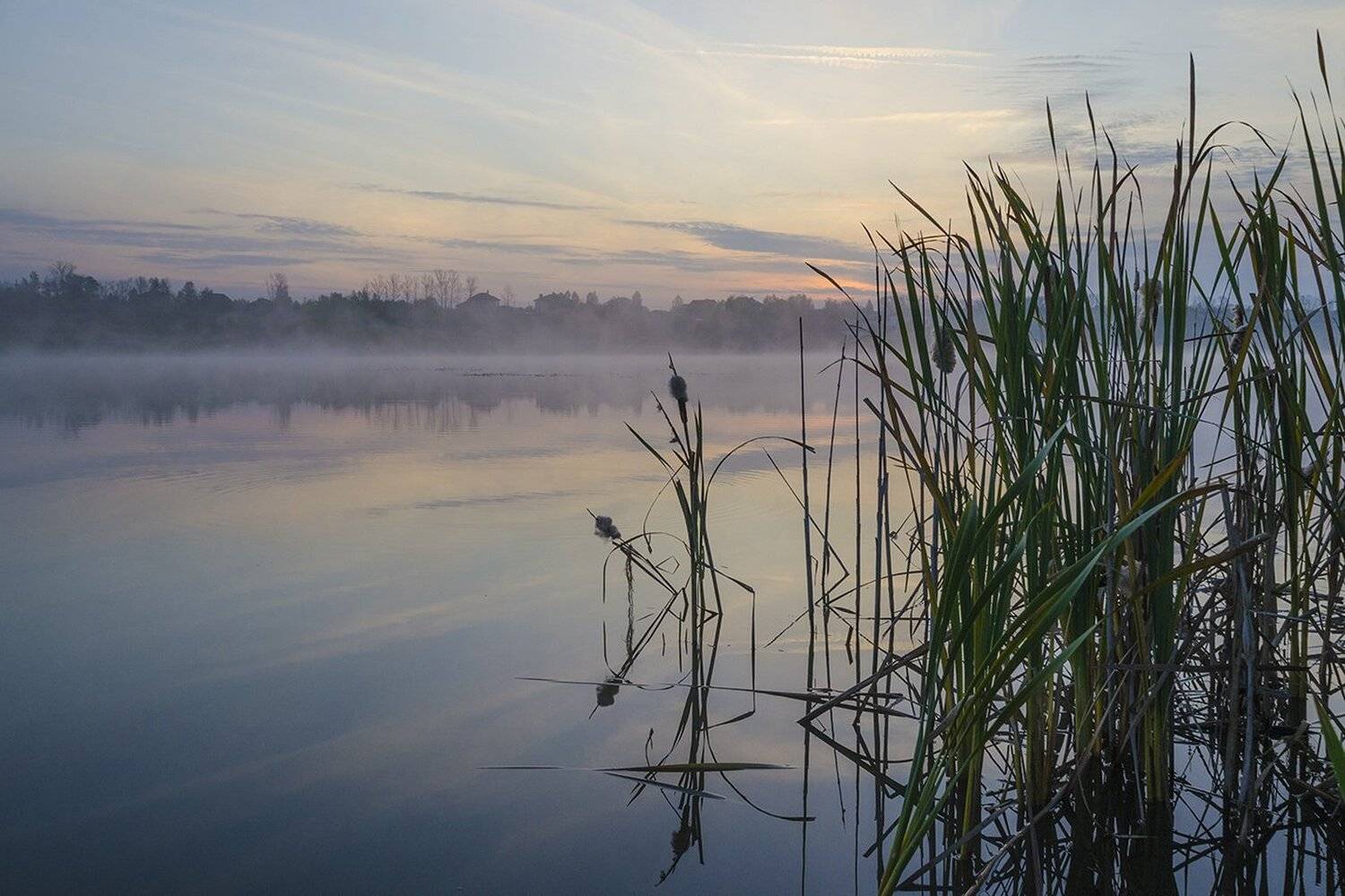 природа, утро, архангельское, Михаил Агеев