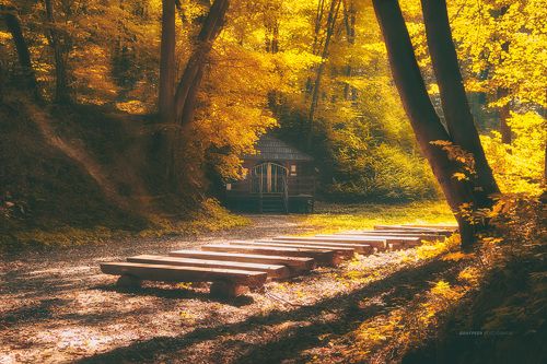 autumn time...