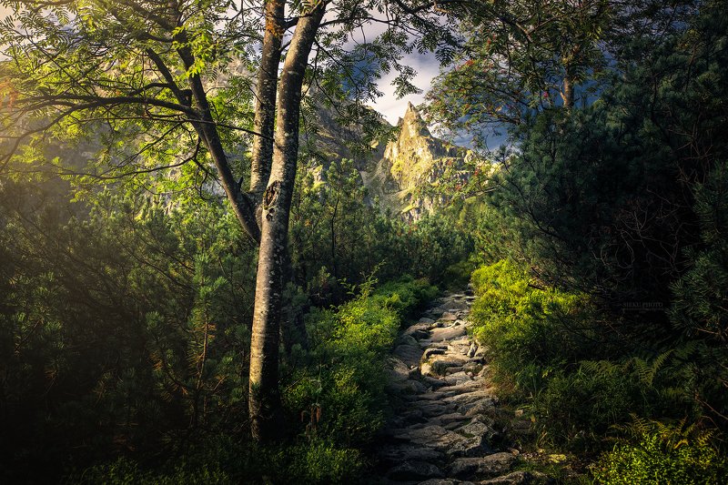 фото превью