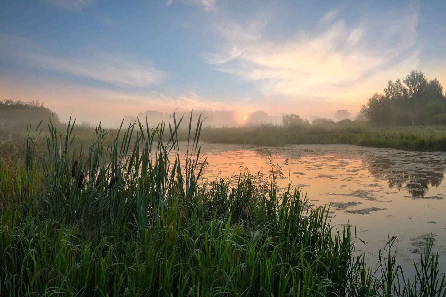 утро,рассвет,туман,река,небо,облака,солнце, Виталий Полуэктов