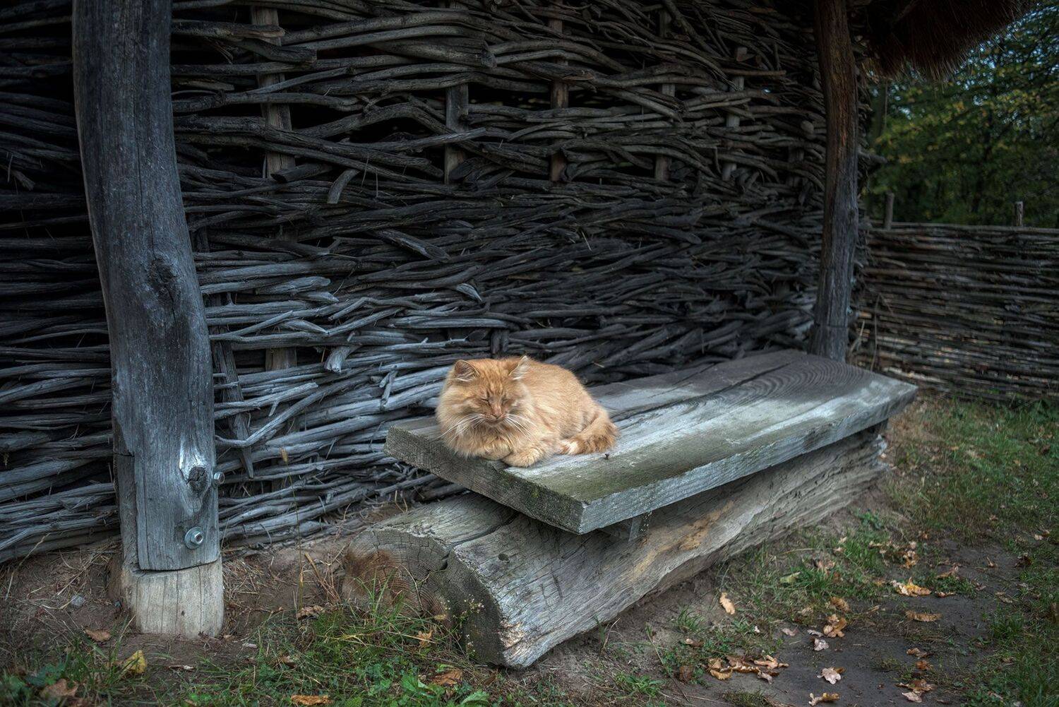 , Юрий Юрьев