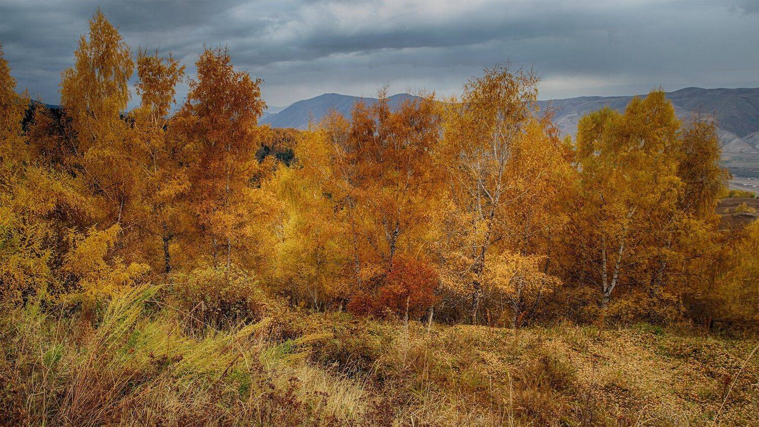 кыргызстан, горы, Элина Магалимова
