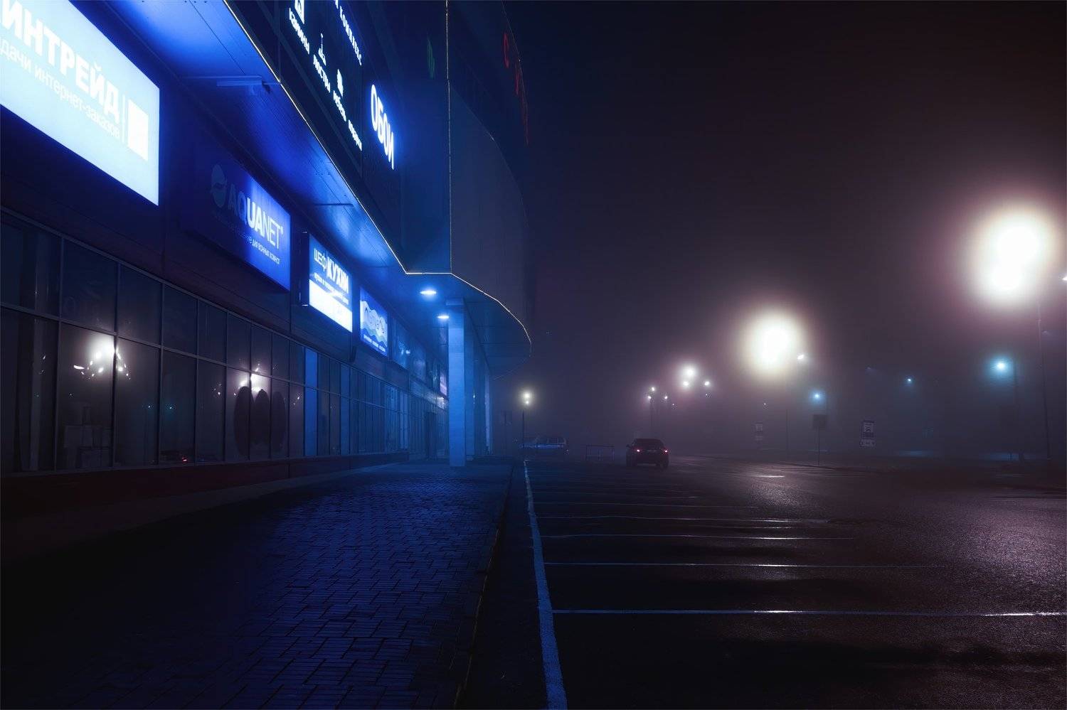 , Михаил Кудрявцев