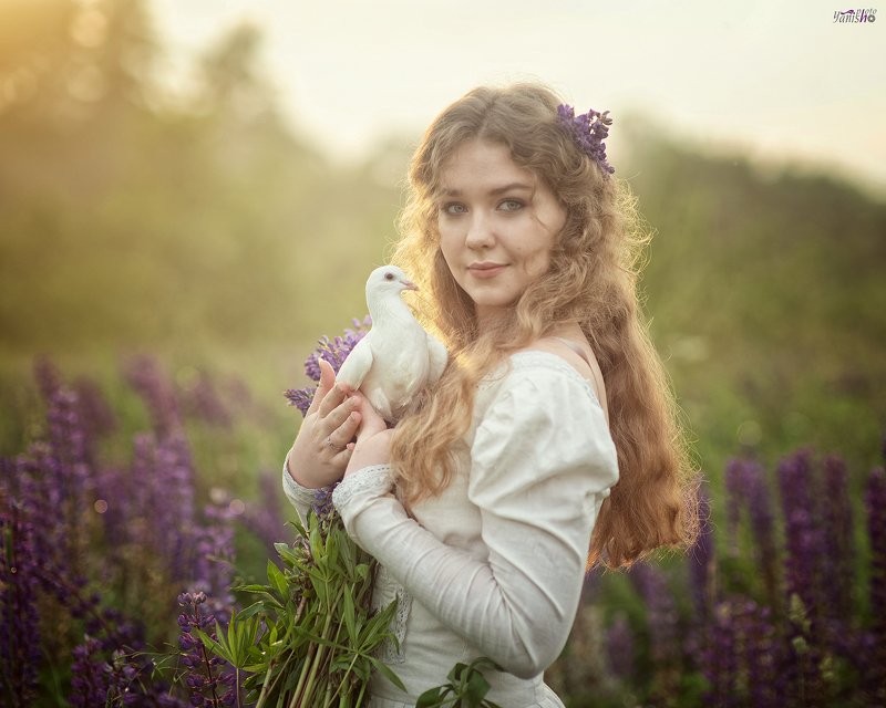 фото превью