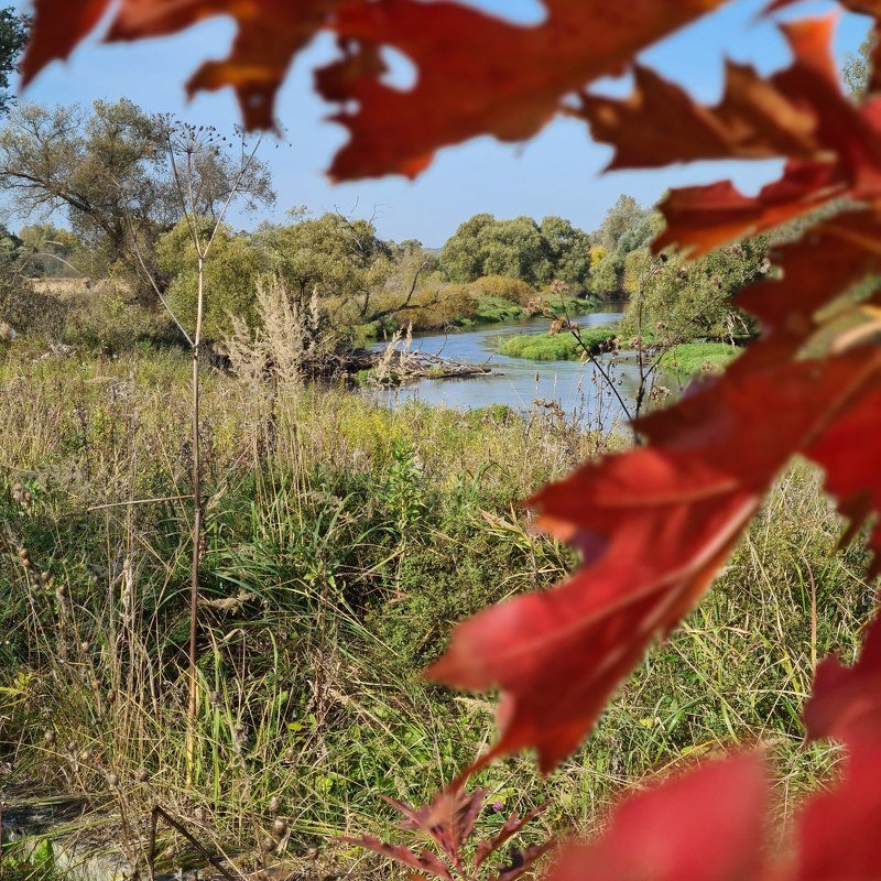 Istra river фото превью
