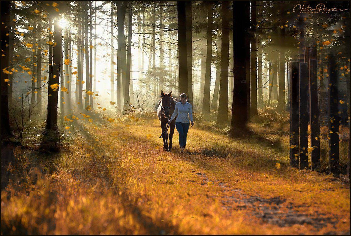 , Виктор Перякин