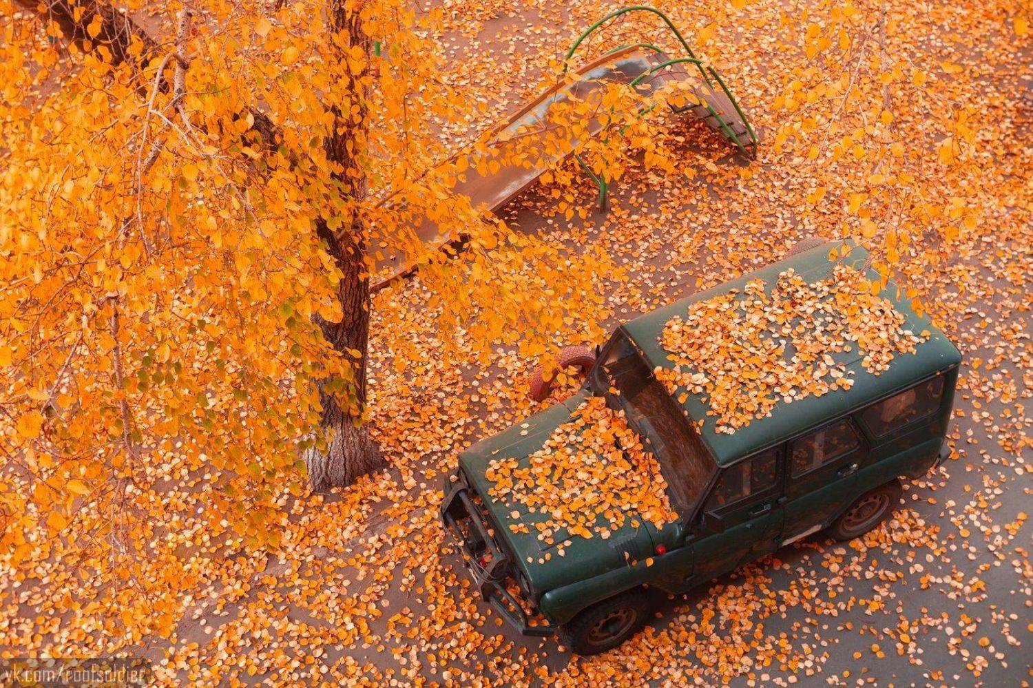 autumn, leaves, fall, yellow, orange, branch, landscape, garden, tree, cityscape, colorful, yard, russia, omsk, siberia, car, осень, листопад, омск, россия, Голубев Алексей