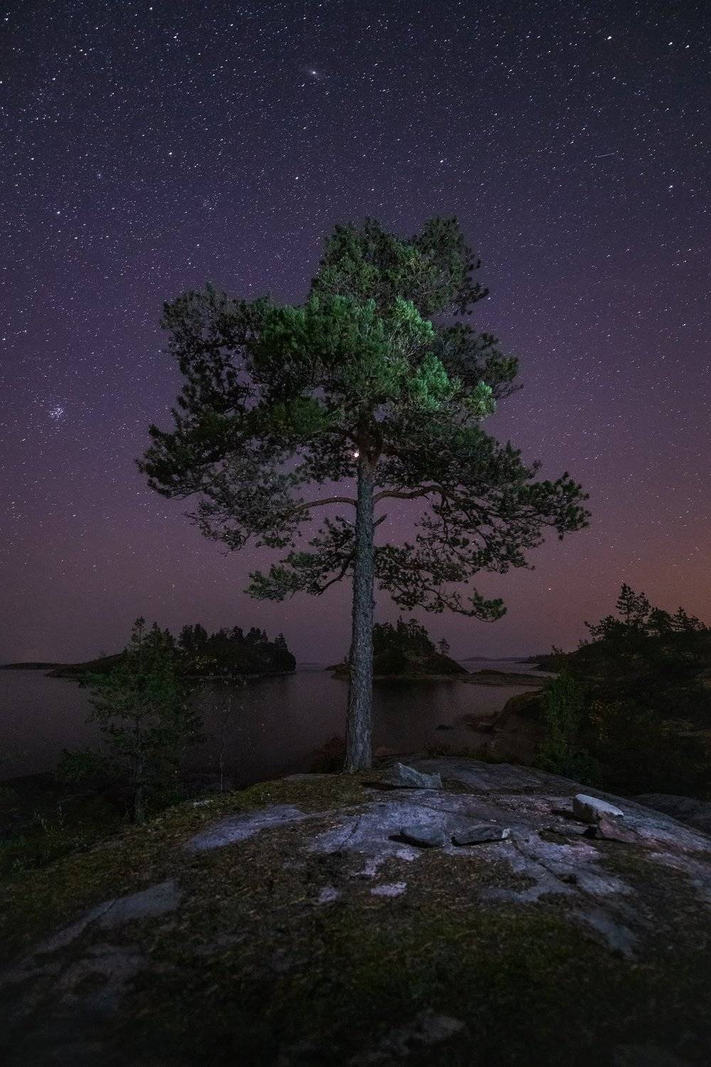 Ладога, Сосна, Ночь, Шхеры, Антон Кононов