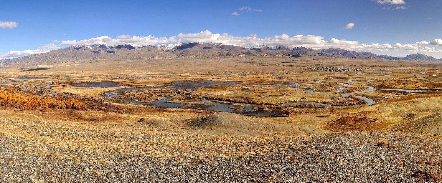 , Дмитрий Д.