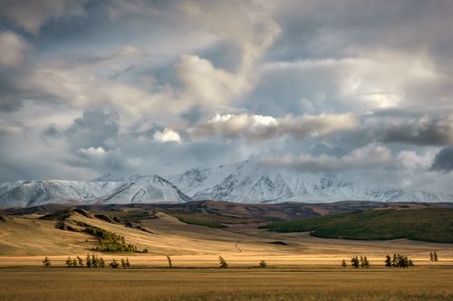 Тыва. Прерии Монгун-Тайги.