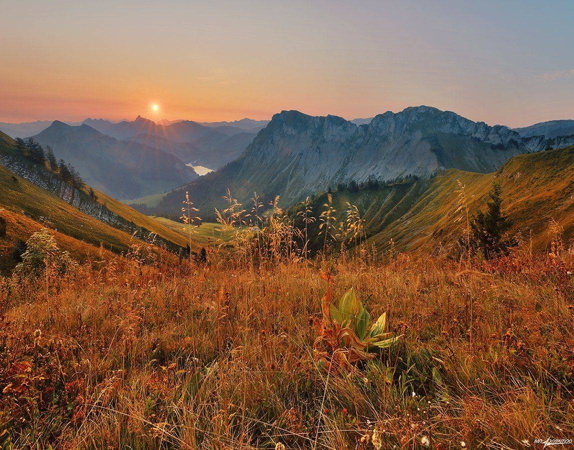 swiss, Матвеев Николай
