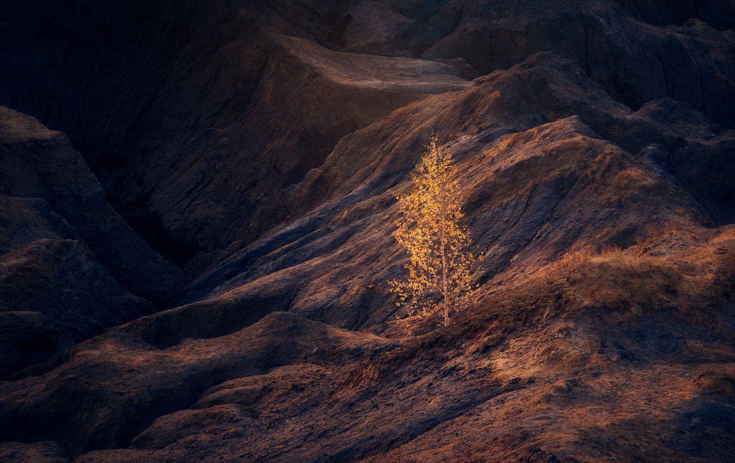 , Алексей Богорянов