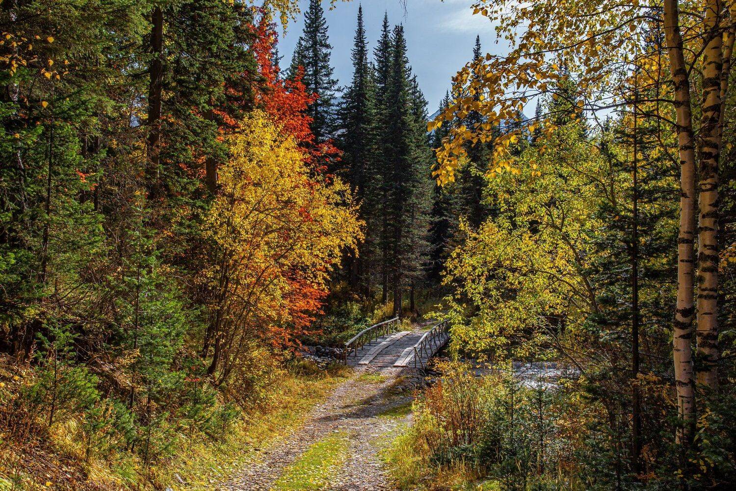 алтай. осень. горы., Евгений Дроботенко