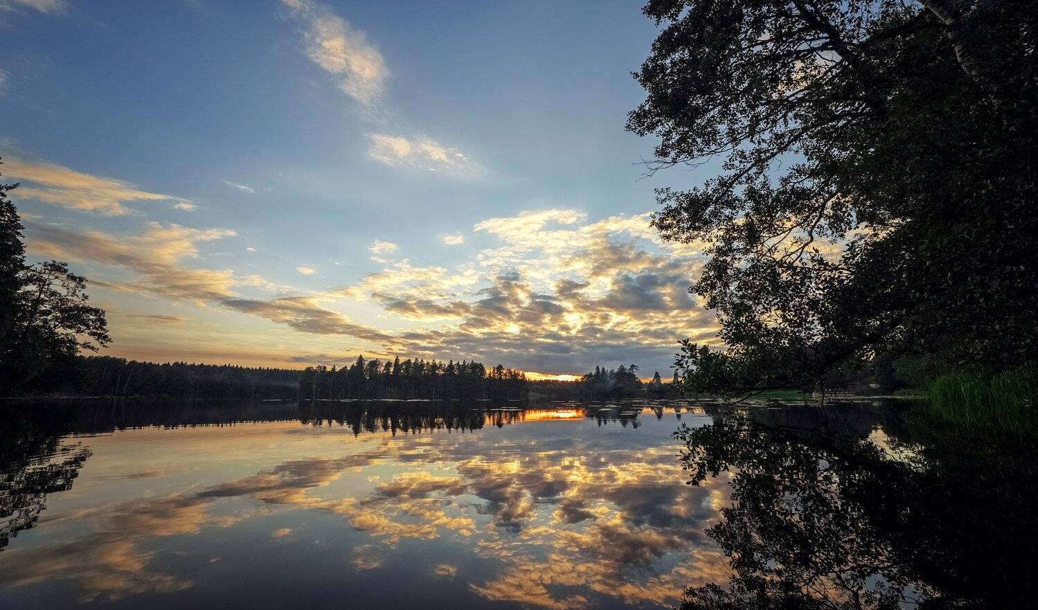 , Рут Андрей