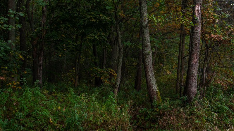 Наброски октября фото превью