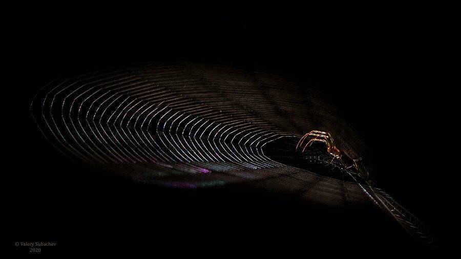 , Валерий Субачев