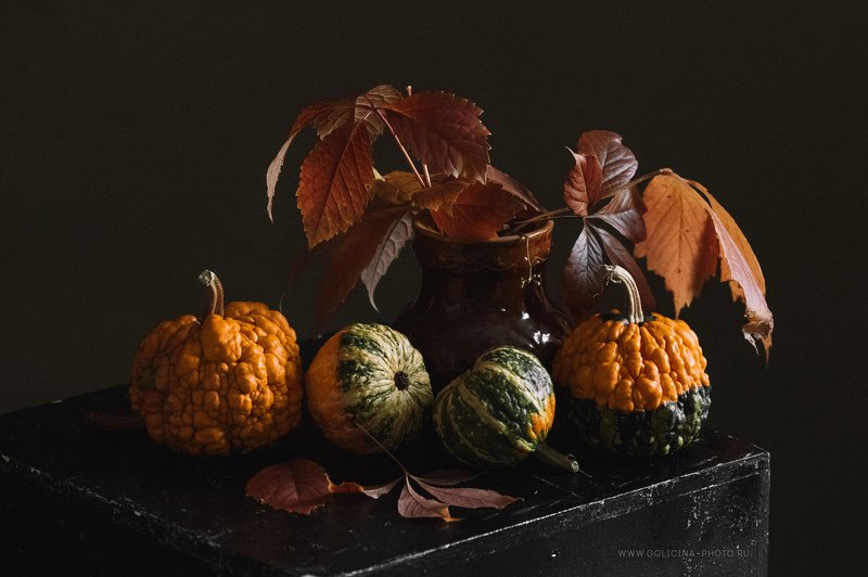 натюрморт Тыквы фото превью