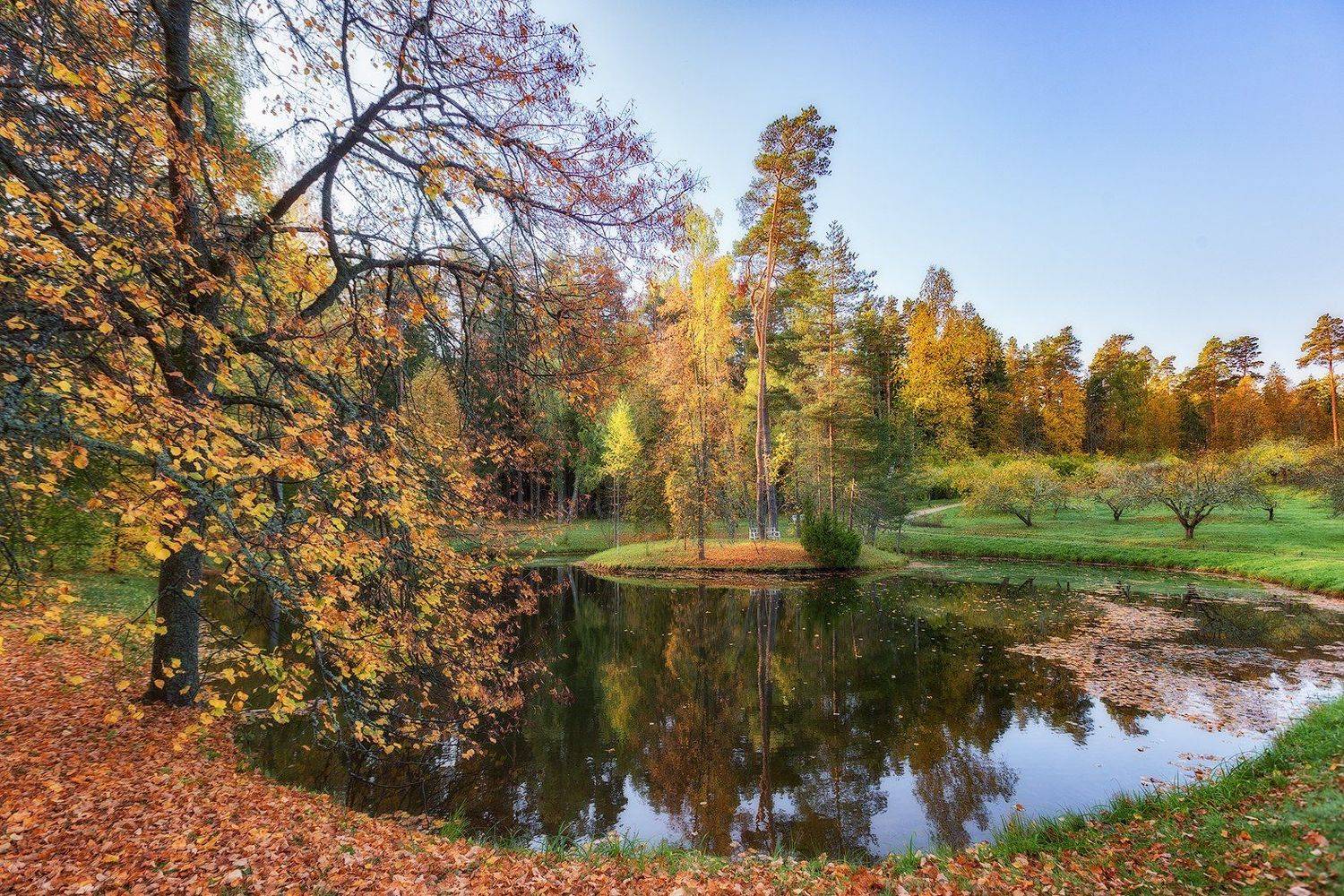 михайловское, пушкинские горы, осень, Владимир Липецких