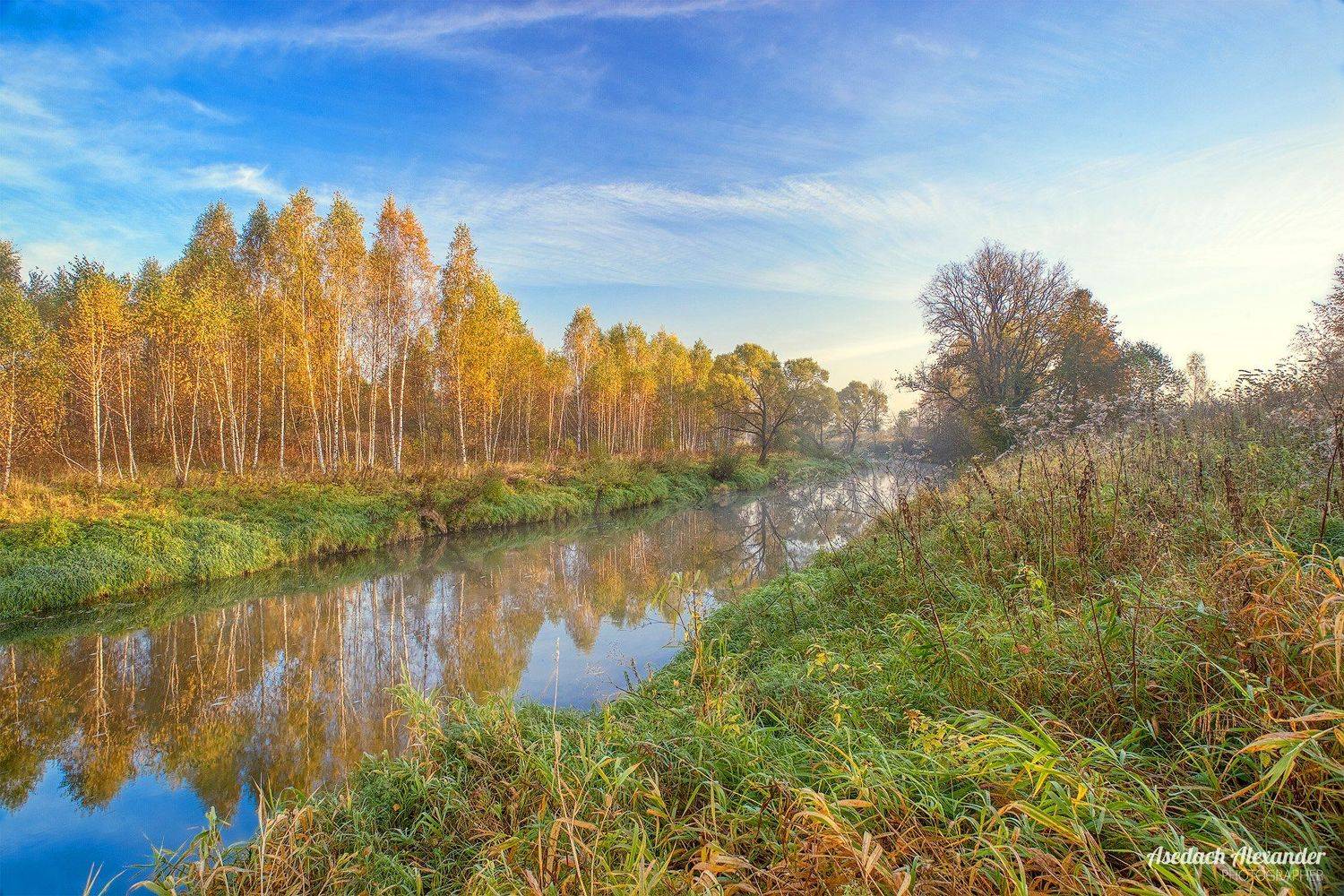 , Александр Аседач