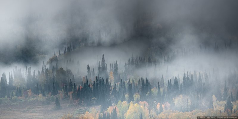 горнаяколывань, осеньнаалтае, алтай2020 Чернь - сибирский дождевой тропический лес фото превью