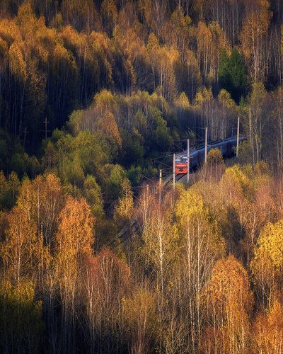 Осенний экспресс