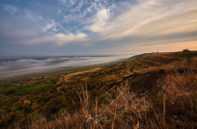 the mystery of the fog фото превью