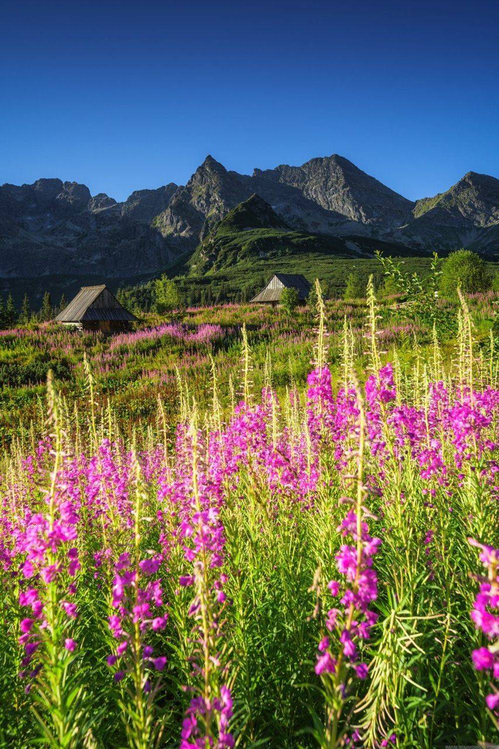 #landscape #panoramic #photo #nikon #poland #adventure  #mountains  #nature #travel #slovakia, Rafał Bujakowski