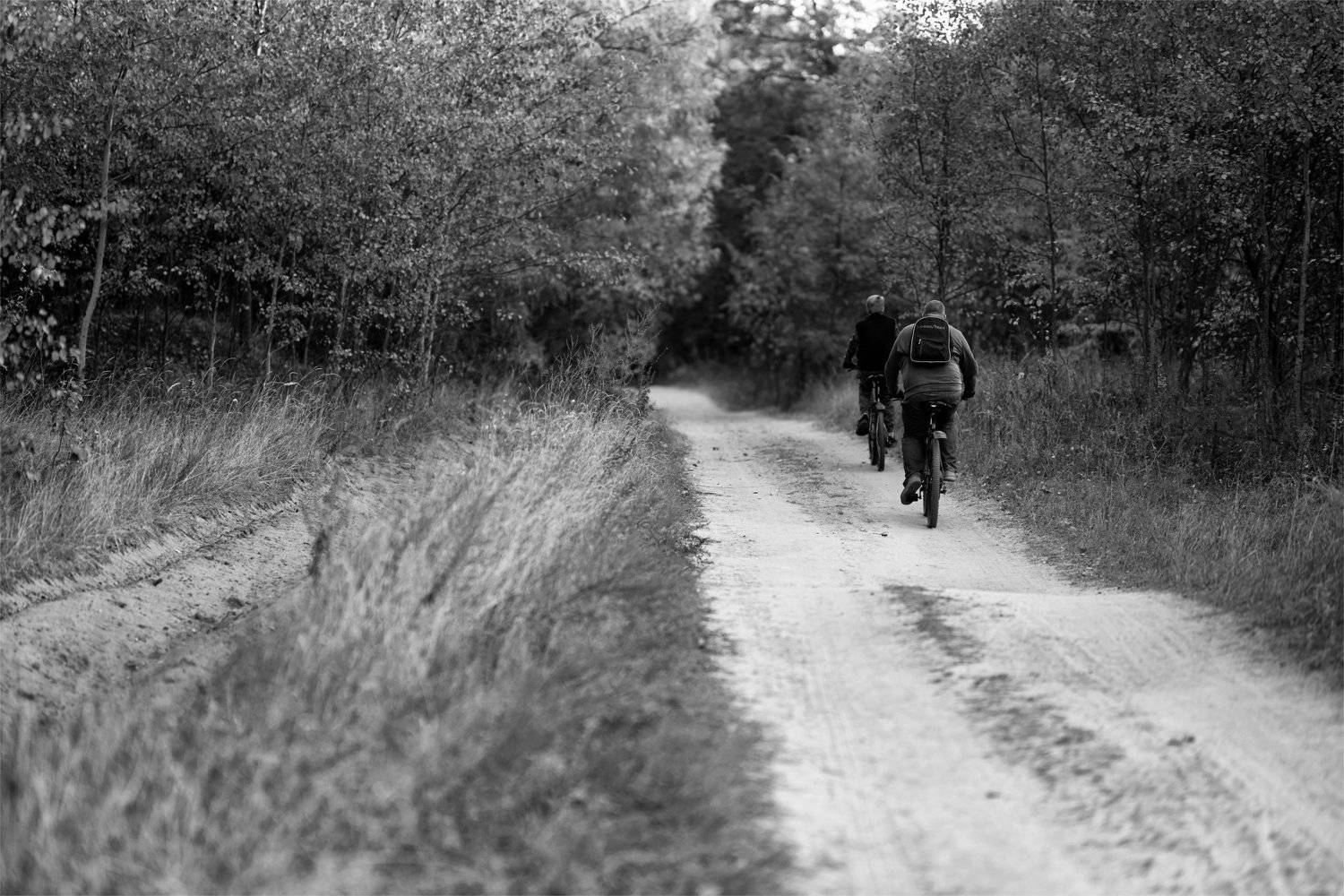 , Михаил Кудрявцев