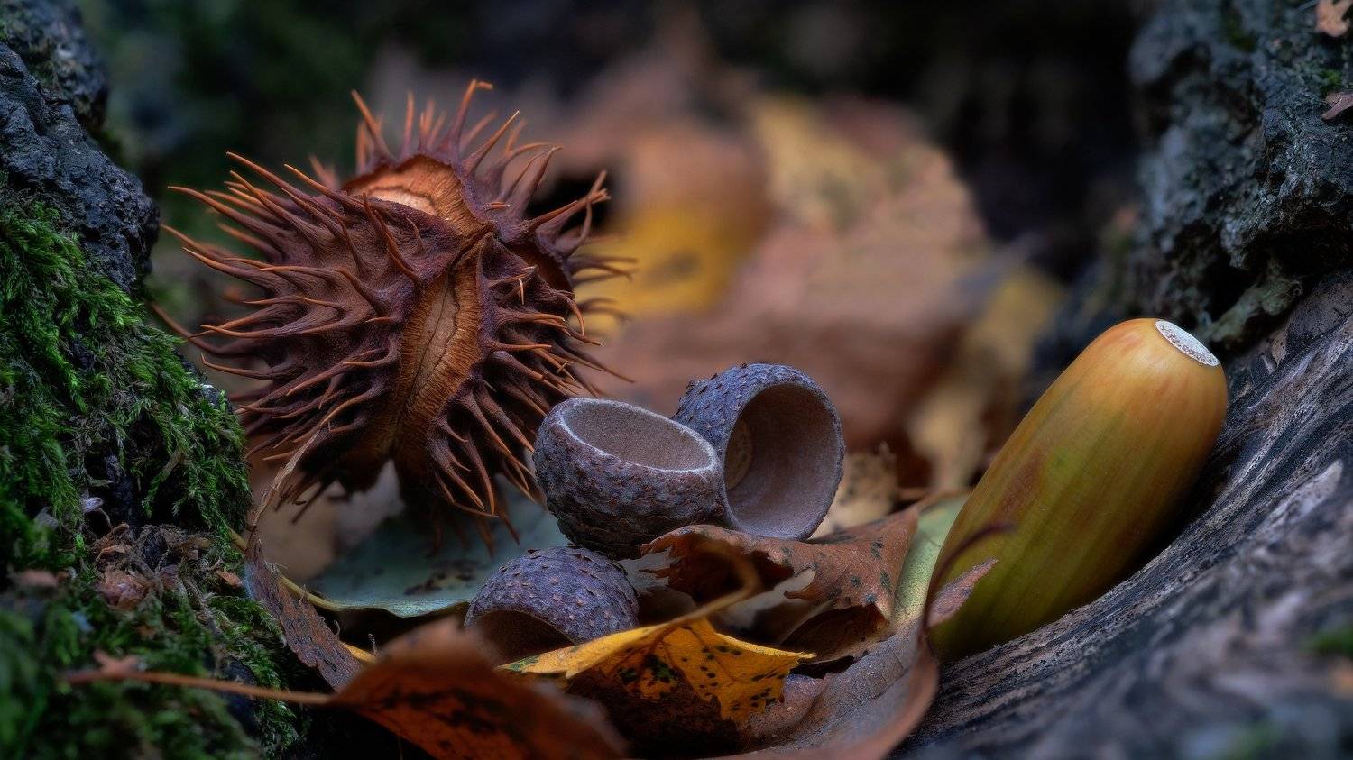 , Alexander Plekhanov