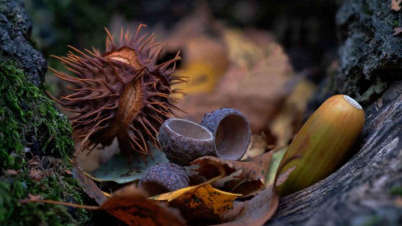 Приметы осени фото превью