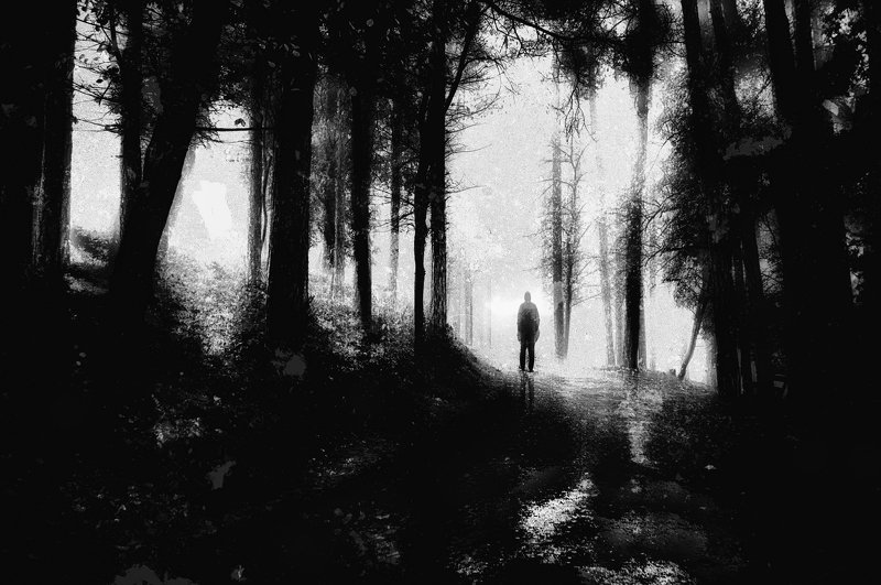 forest, man, trees, silhouette, loneliness, road, sadness, Black and white, лес, человек, деревья, силуэт, одиночество, дорога, грусть, Черное и белое Loneliest Road That I Know фото превью