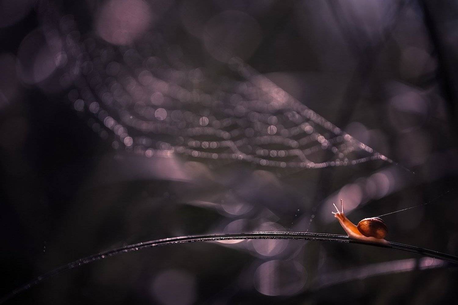 , Вячеслав Мищенко