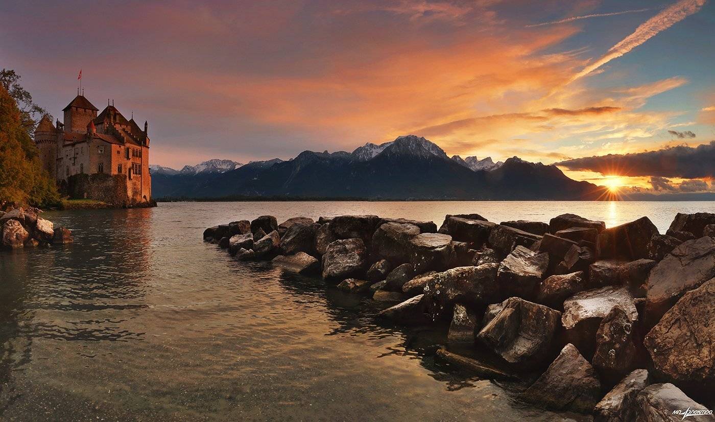 swiss, Матвеев Николай