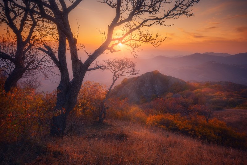 Autumn Harmony фото превью