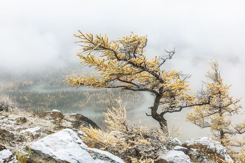 Осенне-зимний Алтай в конце сентября