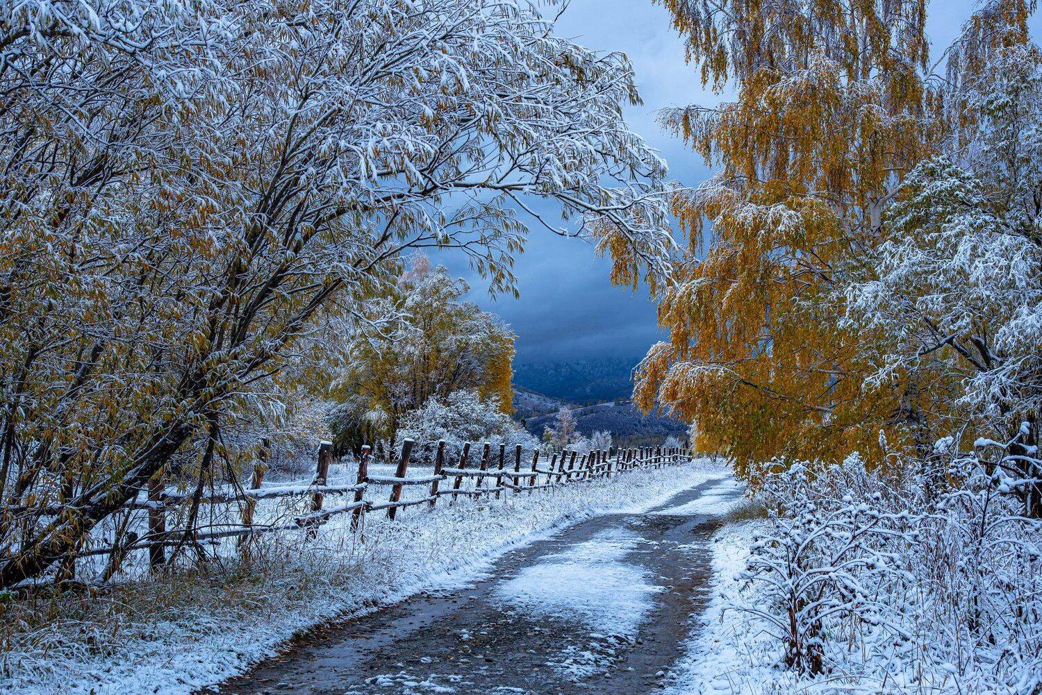 алтай. осень. горы., Евгений Дроботенко