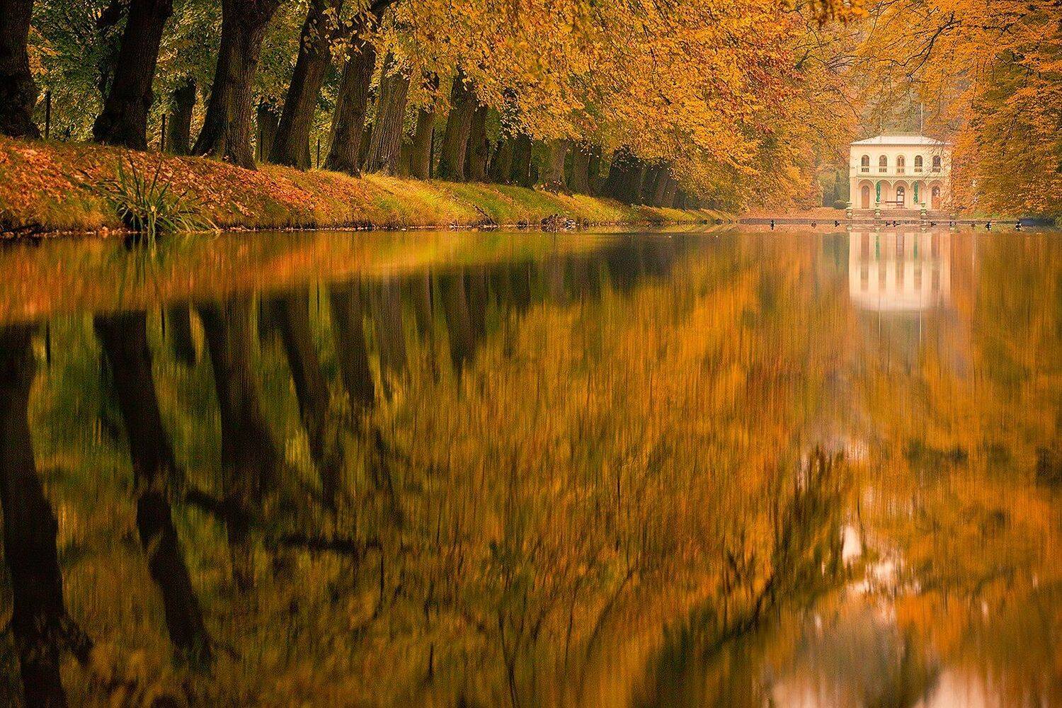 Autumn. Автор: Robert Adamec , Robert Adamec