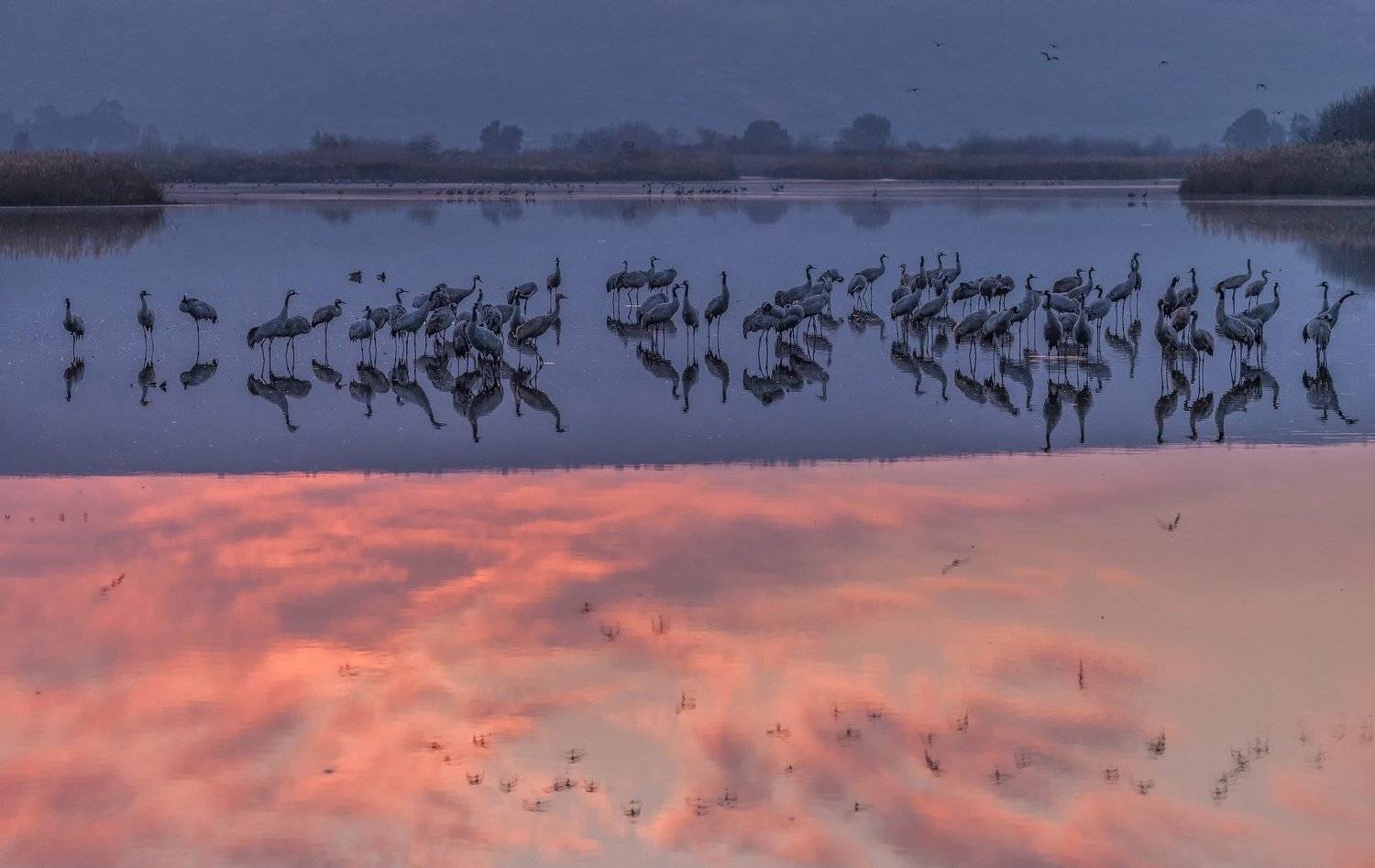 , Григорий Крамаренко