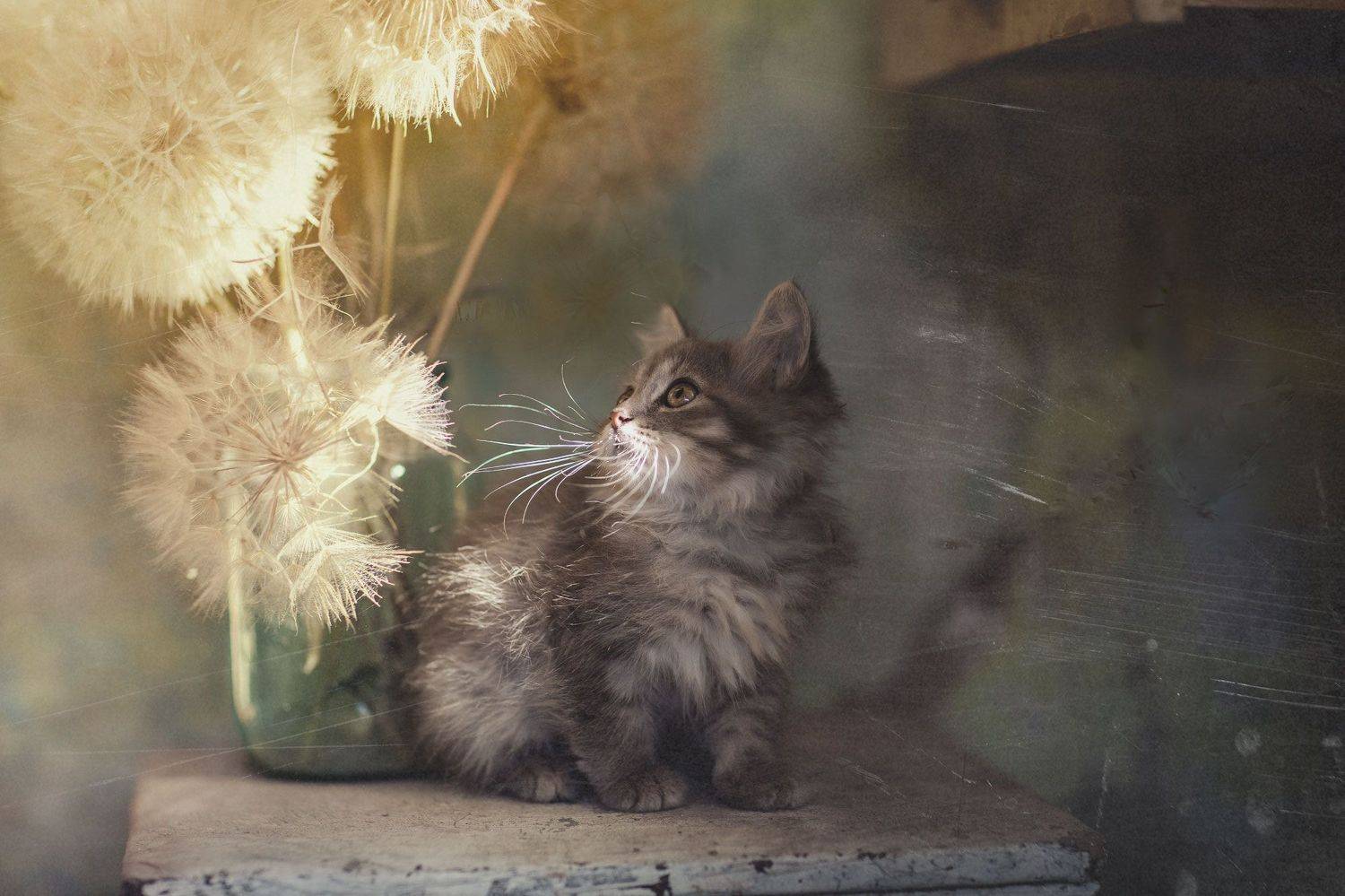 , Коротун Юрий